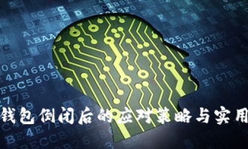 小狐錢包倒閉后的應(yīng)對(duì)策略與實(shí)用建議