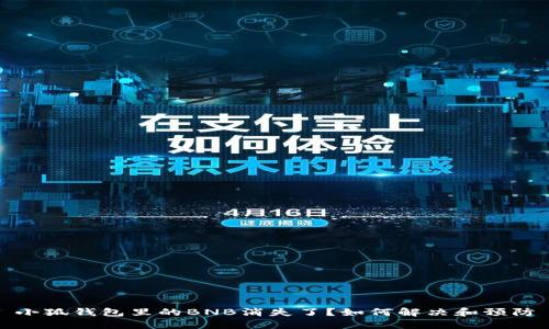 小狐錢包里的BNB消失了？如何解決和預(yù)防