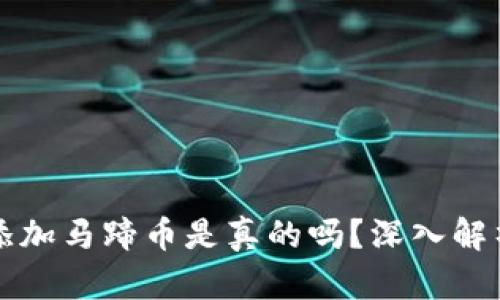 小狐錢包添加馬蹄幣是真的嗎？深入解析背后真相
