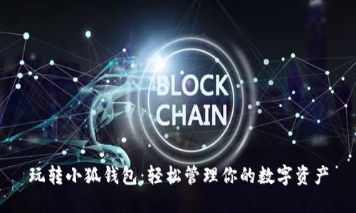 玩轉(zhuǎn)小狐錢(qián)包：輕松管理你的數(shù)字資產(chǎn)