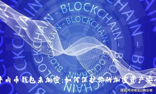 牛肉幣錢包未加密：如何保護你的加密資產(chǎn)安全