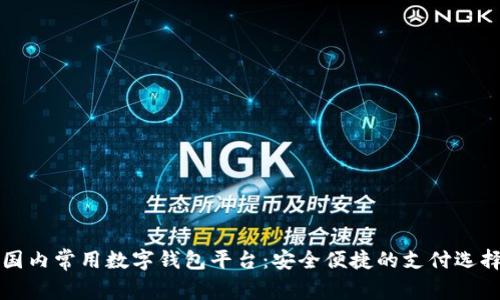 國(guó)內(nèi)常用數(shù)字錢(qián)包平臺(tái)：安全便捷的支付選擇