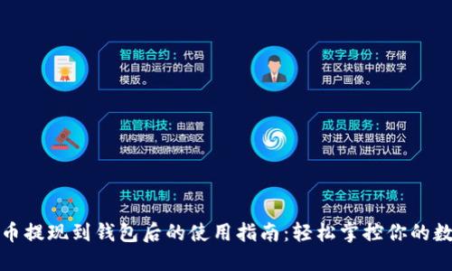 加密貨幣提現(xiàn)到錢包后的使用指南：輕松掌控你的數(shù)字資產