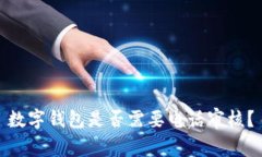 數(shù)字錢包是否需要電話審