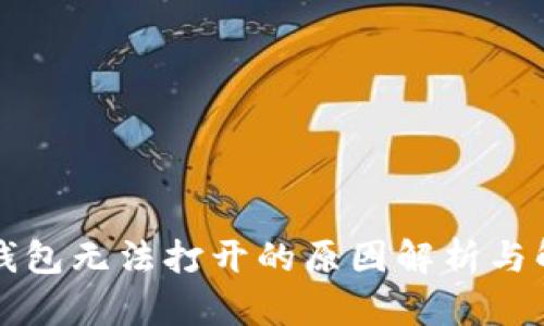 區(qū)塊鏈錢(qián)包無(wú)法打開(kāi)的原因解析與解決方案