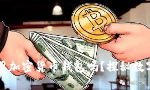 國內可以使用加密貨幣錢包嗎？探秘數字資產的未來