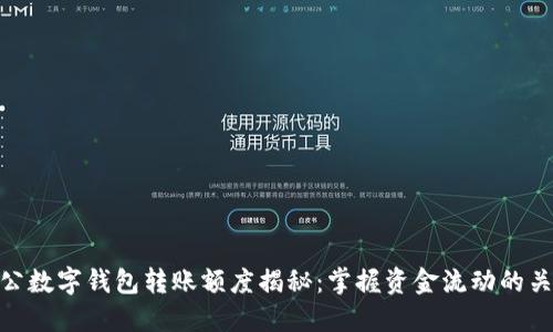 對公數(shù)字錢包轉(zhuǎn)賬額度揭秘：掌握資金流動的關(guān)鍵