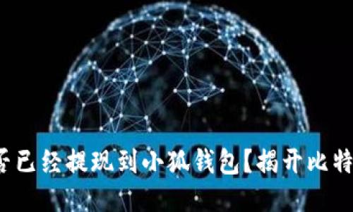 : 中本聰是否已經(jīng)提現(xiàn)到小狐錢包？揭開比特幣神秘面紗！