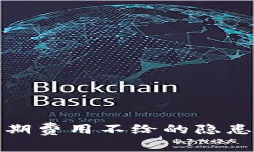 數(shù)字錢包前期費用不給的隱患與解決方案
