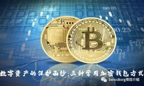 : 揭開數(shù)字資產(chǎn)的保護(hù)面紗：三種常用加密錢包方式大揭秘