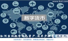 如何查詢數(shù)字錢包資產(chǎn)：