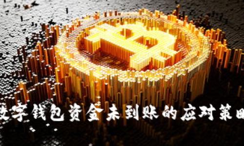 數(shù)字錢包資金未到賬的應(yīng)對策略