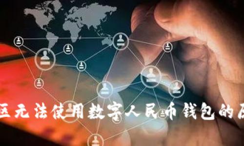 廣東地區(qū)無(wú)法使用數(shù)字人民幣錢包的原因解析