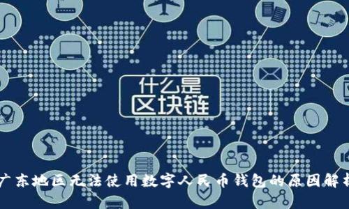 廣東地區(qū)無(wú)法使用數(shù)字人民幣錢包的原因解析