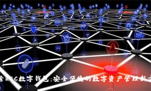 探索REC數(shù)字錢包：安全便捷的數(shù)字資產(chǎn)管理新方式