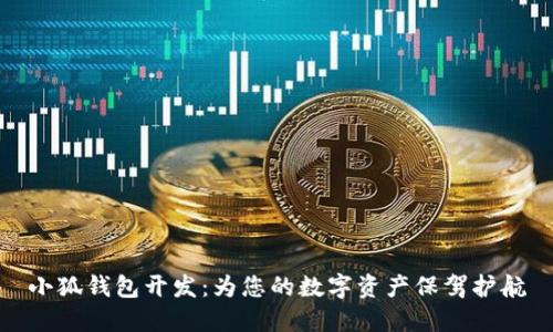 小狐錢包開發(fā)：為您的數(shù)字資產(chǎn)保駕護(hù)航