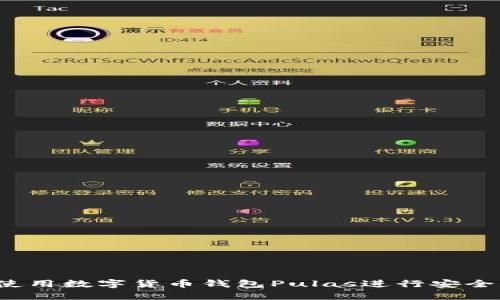 如何使用數(shù)字貨幣錢包Pulas進行安全交易？