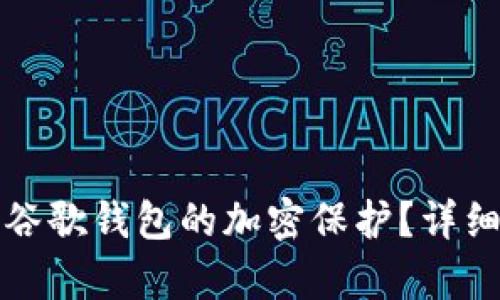 如何解除谷歌錢(qián)包的加密保護(hù)？詳細(xì)步驟解析